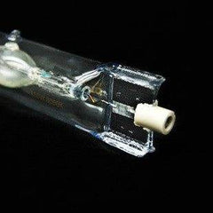 close-up of aquatic plant breeding gold halogen lamp bulb on black background